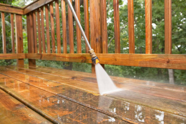 Best Exterior Home Cleaning  in Central City, IA