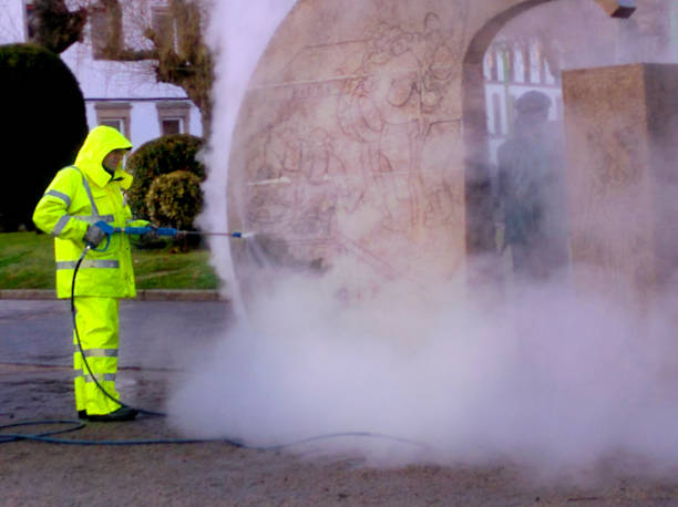 Best Roof Pressure Washing  in Central City, IA